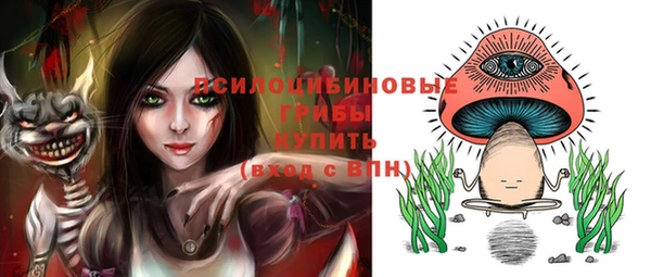 ГАЛЛЮЦИНОГЕННЫЕ ГРИБЫ Каменногорск