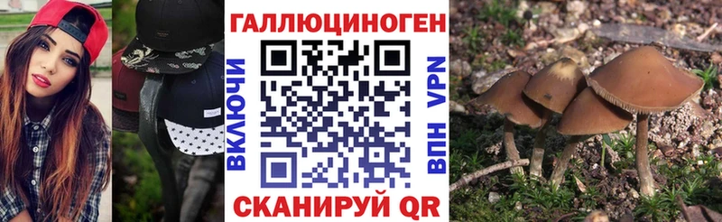 Купить  Бокситогорск  Псилоцибиновые грибы ЛСД 